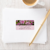 Pink Azalea Bush Etiket (Insitu)