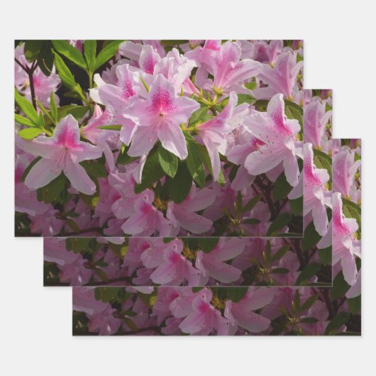 Pink Azalea Bush Spring Floral Inpakpapier Vel (Set)