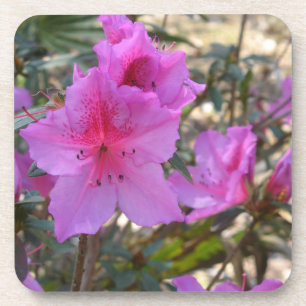 Pink Azaleas Flowers Cork Onderzetter