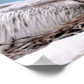 Pink-backed Pelicans Poster (Hoek)