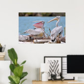 Pink-backed Pelicans Poster (Thuiskantoor)