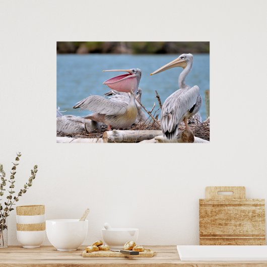 Pink-backed Pelicans Poster (Keuken)