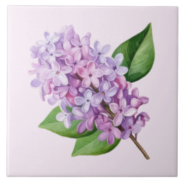 Pink Background Lilac Blossom Art Tegeltje