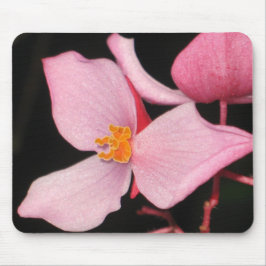 Pink Begonia Mousepad Muismat