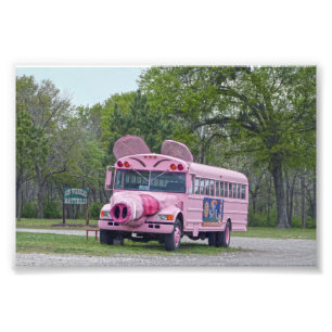 Pink Ben Wheeler, Texas, Hogfest Bus Foto Afdruk