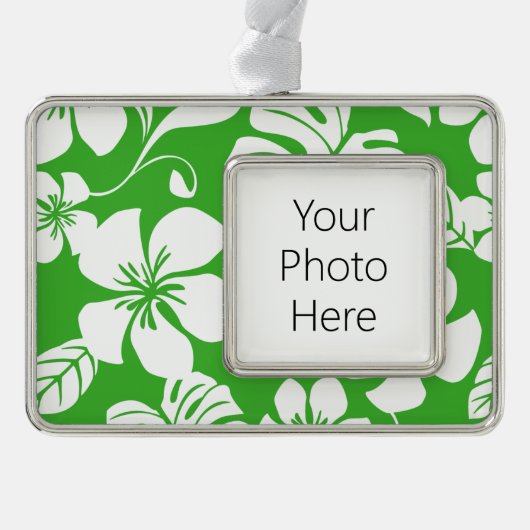 PINK BIKINI (CITRUS GREEN) VERZILVERD OMLIJST ORNAMENT (Voorkant)