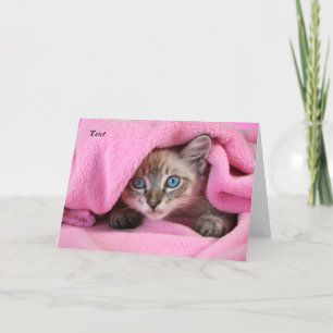 Pink Blankie Thinking of You Cat/Kitten Card Kaart
