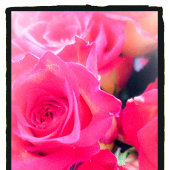 PINK BLISS-BUTTON RONDE BUTTON 5,7 CM