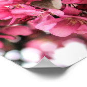 Pink Blossoms Flower Fotografie Poster (Hoek)