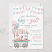 Pink Blue Ice Cream Summer Gender Reveal Kaart (Voorkant)