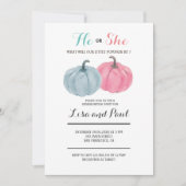 Pink Blue Pumpkins Hij of zij onthult geslacht Kaart (Voorkant)