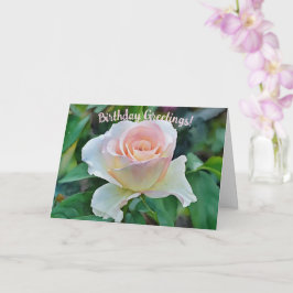 Pink Blush Roos Flower Art Verjaardag Kaart