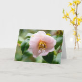 Pink Camellia Flower Note Kaart (Gele Bloem)