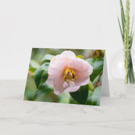 Pink Camellia Flower Note Kaart