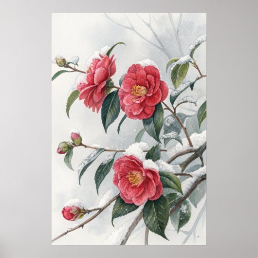 Pink Camellia Snow  Poster (Voorkant)