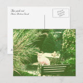 Pink Cat Briefkaart (Voorkant / Achterkant)