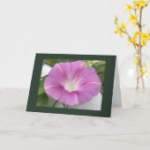 Pink Charm Morning Glory Blank Kaart (Gele Bloem)