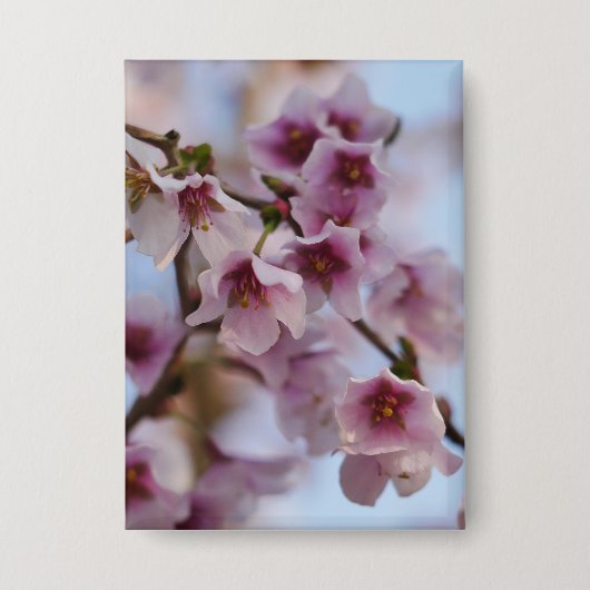 Pink Cherry Blossom Badge Button (Voorkant)