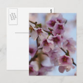 Pink Cherry Blossom Briefkaart (Voorkant / Achterkant)