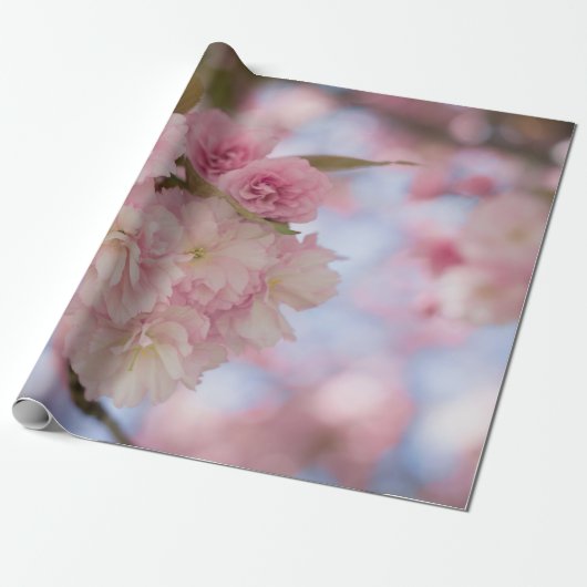 PINK CHERRY BLOSSOM IN CLOSE UP FOTOGRAPHY CADEAUPAPIER (Uitgerold)