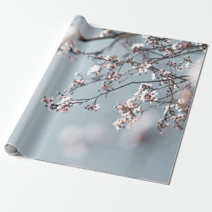 PINK CHERRY BLOSSOM IN CLOSE UP FOTOGRAPHY CADEAUPAPIER