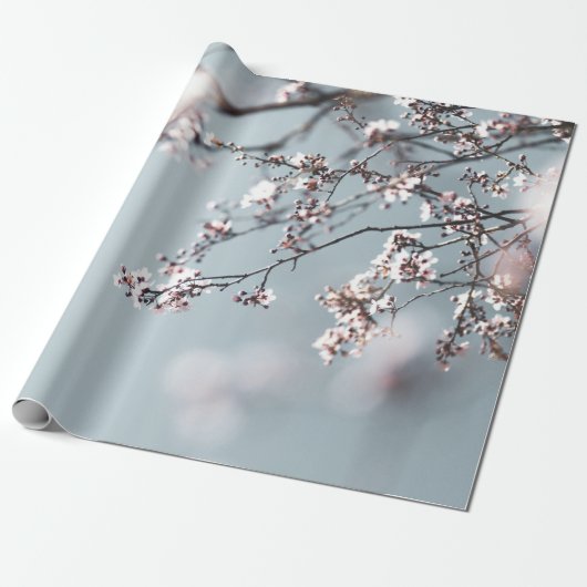 PINK CHERRY BLOSSOM IN CLOSE UP FOTOGRAPHY CADEAUPAPIER (Uitgerold)