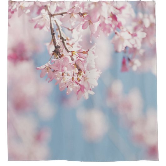 PINK CHERRY BLOSSOM IN CLOSE UP FOTOGRAPHY DOUCHEGORDIJN (Voorkant)