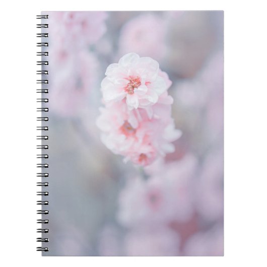 PINK CHERRY BLOSSOM IN CLOSE UP FOTOGRAPHY NOTITIEBOEK (Voorkant)