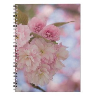 PINK CHERRY BLOSSOM IN CLOSE UP FOTOGRAPHY NOTITIEBOEK