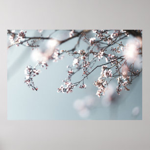 PINK CHERRY BLOSSOM IN CLOSE UP FOTOGRAPHY POSTER