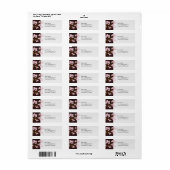 Pink Cherry Blossoms Aziatische Adresetiketten Etiket (Full Sheet)