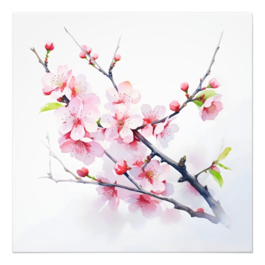 Pink Cherry Flowers Branch Foto Afdruk (Voorkant)