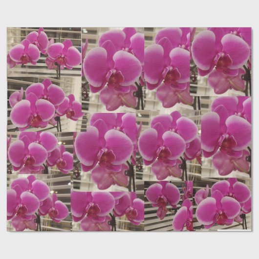 Pink Christmas Cadeaupapier (Vlak)