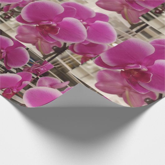 Pink Christmas Cadeaupapier (Hoek)