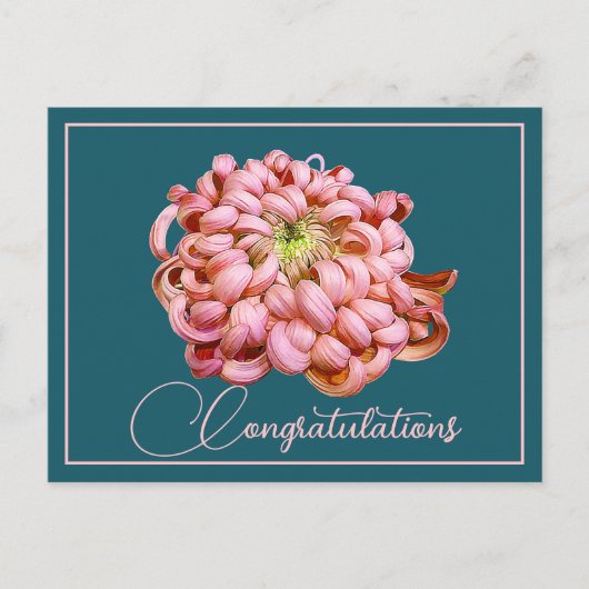 Pink Chrysanthemum Cyan Backdrop Gefeliciteerd Briefkaart (Voorkant)