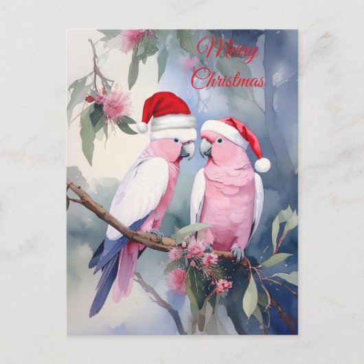 Pink Cockatoos Santa Hat Merry Christmas Briefkaart (Voorkant)