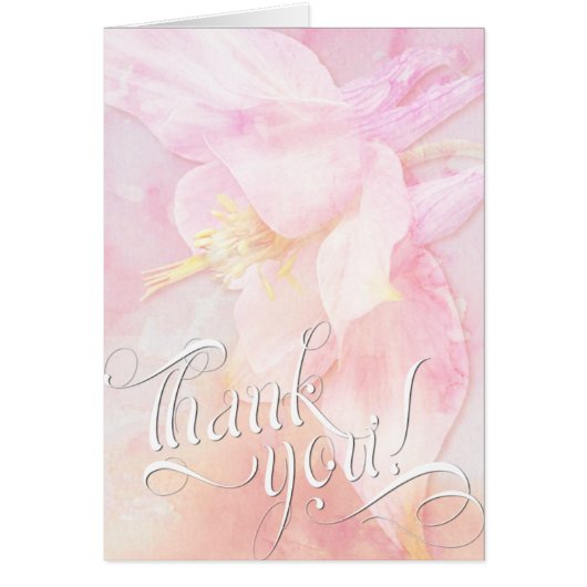 PINK COLUMBINE FLOWER WATERVERF SPLASH (Voorkant)