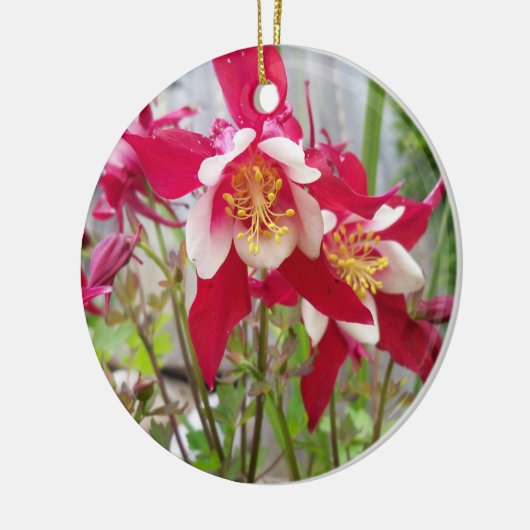 Pink Columbines-Ornament Keramisch Ornament (Links)