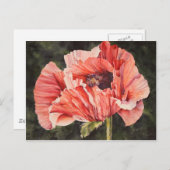 Pink Corn Poppy All Occasion Waterverf Briefkaart (Voorkant / Achterkant)