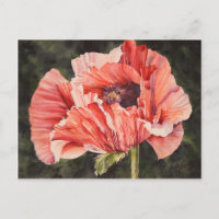 Pink Corn Poppy All Occasion Waterverf Briefkaart