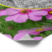 Pink Cosmos Daisy Flowers Lijst Uw foto toevoegen Poster