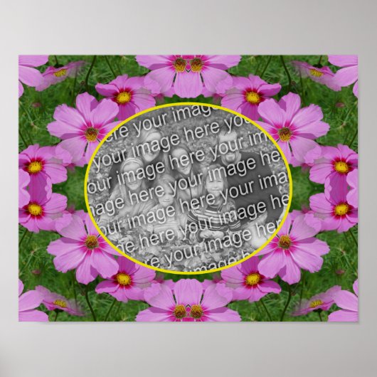 Pink Cosmos Daisy Flowers Lijst Uw foto toevoegen Poster