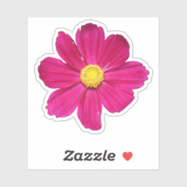 PInk Cosmos Flower Sticker