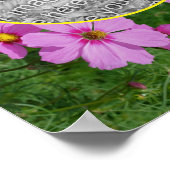 Pink Cosmos Flowers Lijst Uw eigen foto toevoegen Poster (Hoek)