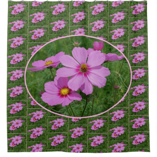 Pink Cosmos Flowers Pattern Douchegordijn (Voorkant)