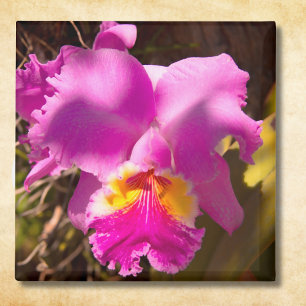 Pink Crimson Cattleya Orchid Magneet