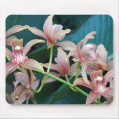 Pink Cymbidium Orchids Floral Muismat (Voorkant)