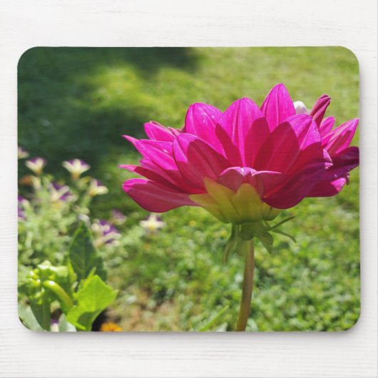 Pink Dahila Muismat (Voorkant)