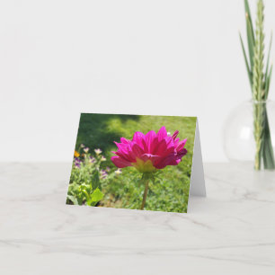 Pink Dahlia Bedankkaart