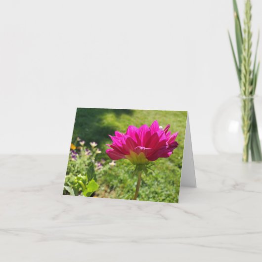 Pink Dahlia Bedankkaart (Voorkant)
